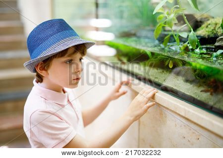 Little kid boy admire different reptiles and fishes in aquarium through the glass in zoo. Happy school child watching and observing animals and reptiles. Family leisure with kids