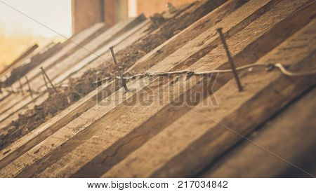 Ruins Of A Ruined Old Large Factory.