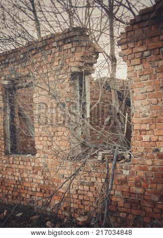 Ruins Of A Ruined Old Large Factory.