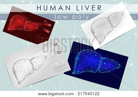 Human Liver Low Poly Vector & Photo (Free Trial) | Bigstock
