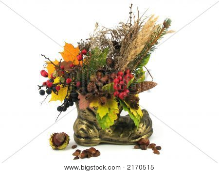 Folhas e frutos de outono