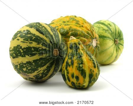 Decorazione zucca
