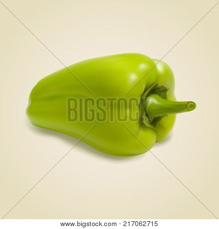 Sweet green pepper on gray background. EPS10 vector.