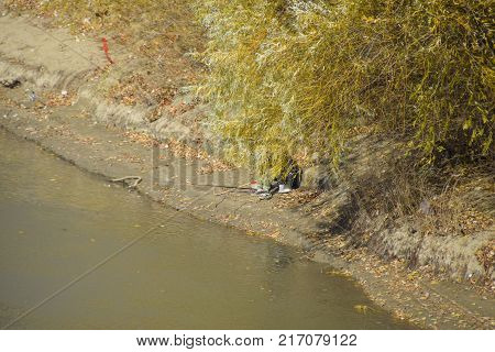 Fishermen On The Bank Of The River In Autumn. Fishing The Bait.