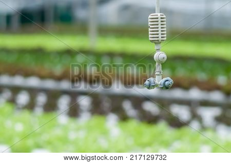Hanging mist emitter above blurred hydroponics plants inside greenhouse. It emits fog to provide moisture and cooling for the plants. Agriculture equipment.