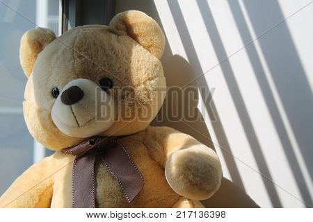 Bear toy sitting by the window in shadows