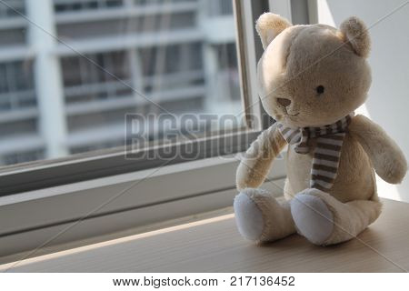 Kitten (kitty) toy sitting by the window in shadows