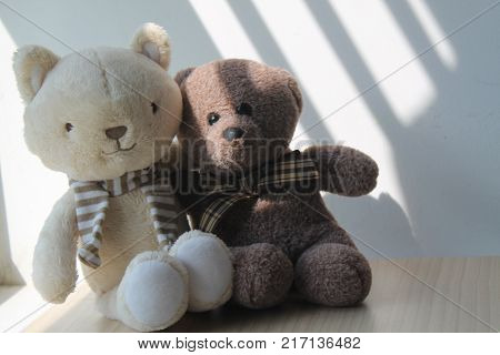 Bear and kitten toy sitting by the window in shadows