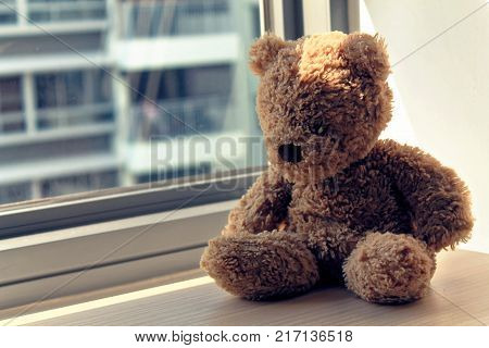 Brown Bear toy sitting by the window in shadows