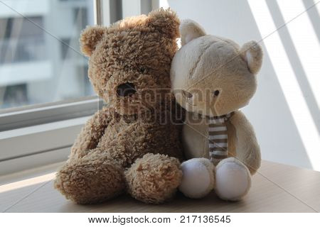 Brown Bear and kitten toy sitting by the window in shadows
