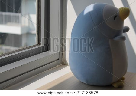 Blue penguin toy sitting by the window in shadows
