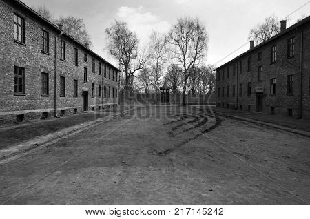 AUSCHWITZ, POLAND - March 30 2012: remains of barracks in Birkenau, Treblinka 2.