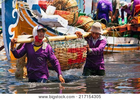 Jembrana Bali Island Indonesia - September 20 2015: A way of life earning money in Bali. In Perancak village harbour Indonesian dockers unload traditional fishing boat for shipping fish to cannery