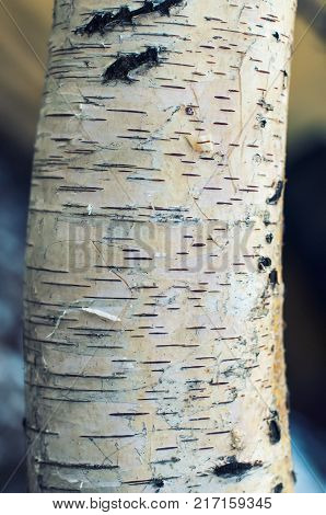 Detail of the old painted wood. broken paint from a close distance, texture