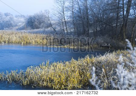 Morning landscape pond in a frosty winter morning