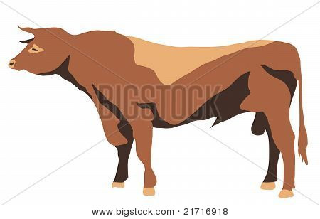 Stand-up Big  Bull With Horns