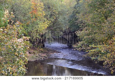 the river calder near hebden bridge with stone bridge and surrounding trees