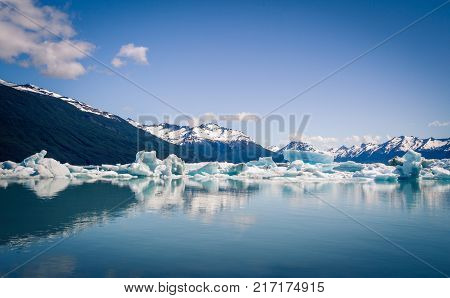 The icebergs on a lake in El Calafate Argentina
