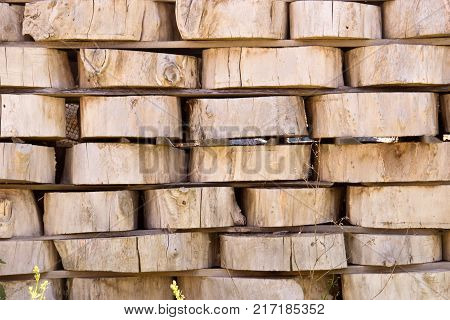 Wood Background Texture. Cross Section Of Tree Trunk. Spili Trees Stumps Stacked In Stacks. Used For