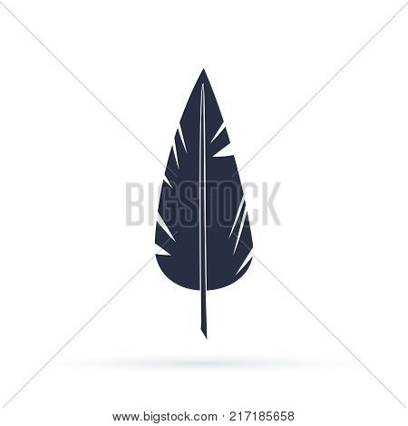 Feather vector icon isolated on white background. Vector illustration in a flat style, Silhouettes of dark feather as element for design.