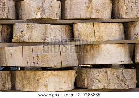 Wood Background Texture. Cross Section Of Tree Trunk. Spili Trees Stumps Stacked In Stacks. Used For