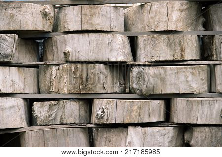 Wood Background Texture. Cross Section Of Tree Trunk. Spili Trees Stumps Stacked In Stacks. Used For