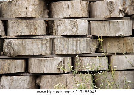 Wood Background Texture. Cross Section Of Tree Trunk. Spili Trees Stumps Stacked In Stacks. Used For