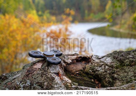 spinner lies on a birch tree in Park, autumn