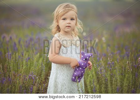 Cute Little Baby Blong Girl Walking Posing On Meadow Of Forest Wild Lavender Wearing Stylish White D