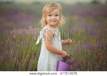 Cute Little Baby Blong Girl Walking Posing On Meadow Of Forest Wild Lavender Wearing Stylish White D