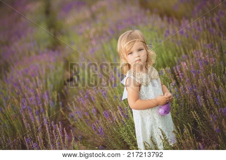 Cute Little Baby Blong Girl Walking Posing On Meadow Of Forest Wild Lavender Wearing Stylish White D