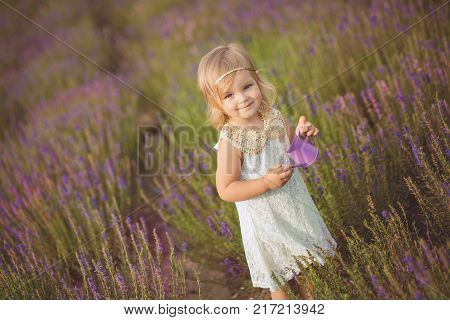 Cute Little Baby Blong Girl Walking Posing On Meadow Of Forest Wild Lavender Wearing Stylish White D