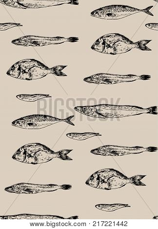 Seamless pattern fish. Background colorful. Vector illustration