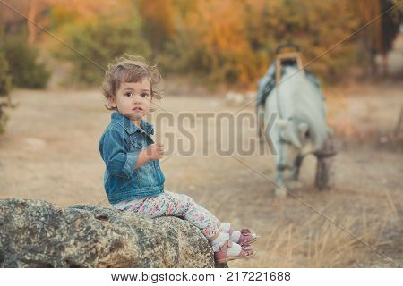 Cute Little Baby Girl Sitting On Stone In Central Park With White Horse On Back Ground.child Wearing