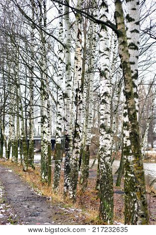 Road in park at autumn at cloud day Russia.