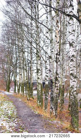 Road in park at autumn at cloud day Russia.