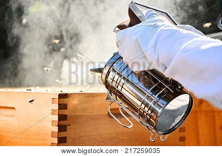 Portrait of beekeeper using a smoker to calm down the bees. Beekeeping on sunny day.