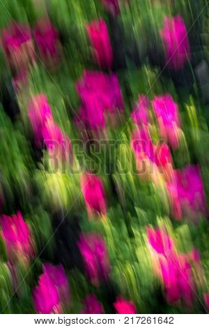 Movement nature background in Asia.Blurred.