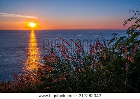 Grass Field in front of the sunset at Leam PromThep Cape in Phuket Amazing Thailand