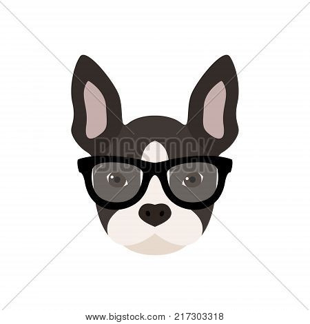 French bulldog with glasses. Cute vector illustration.