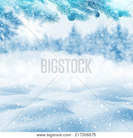 Winter bright background. Christmas landscape with snowdrifts and pine branches in the frost.