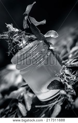 Murraya Koenigii,curry Leaves With Extracted Oil In A Transparent Bottle.concept Of Taking Care Of H