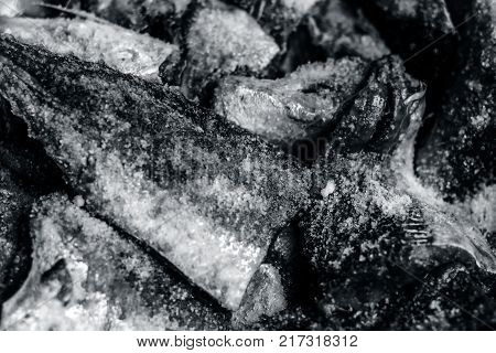 Scomberomorus Cavalla,king Mackerel Marinated With Salt And Lemon Juice.