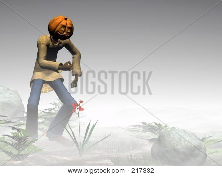 ハロウィーン カボチャのジャック、霧の森。