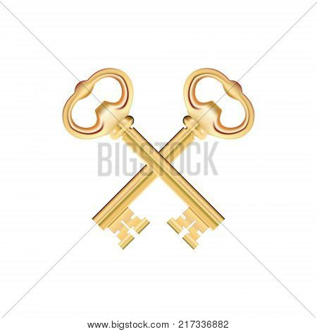 Crossed Golden Keys isolated on white Background. Vector illustration