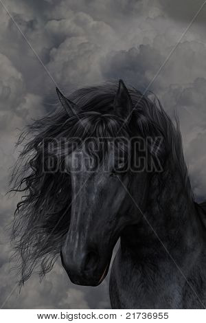 black Beauty