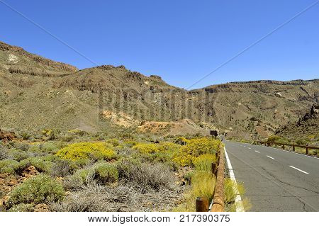 country road in Boca Tauce Mount Teide National Park in Tenerife
