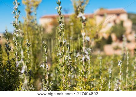 View Of The Romanesque Church Of Santa Maria De Siurana In Siurana Tarragona Catalunya Spain. Copy S