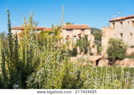 View Of The Romanesque Church Of Santa Maria De Siurana In Siurana Tarragona Catalunya Spain. Copy S