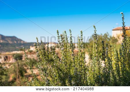 View Of The Romanesque Church Of Santa Maria De Siurana In Siurana Tarragona Catalunya Spain. Copy S